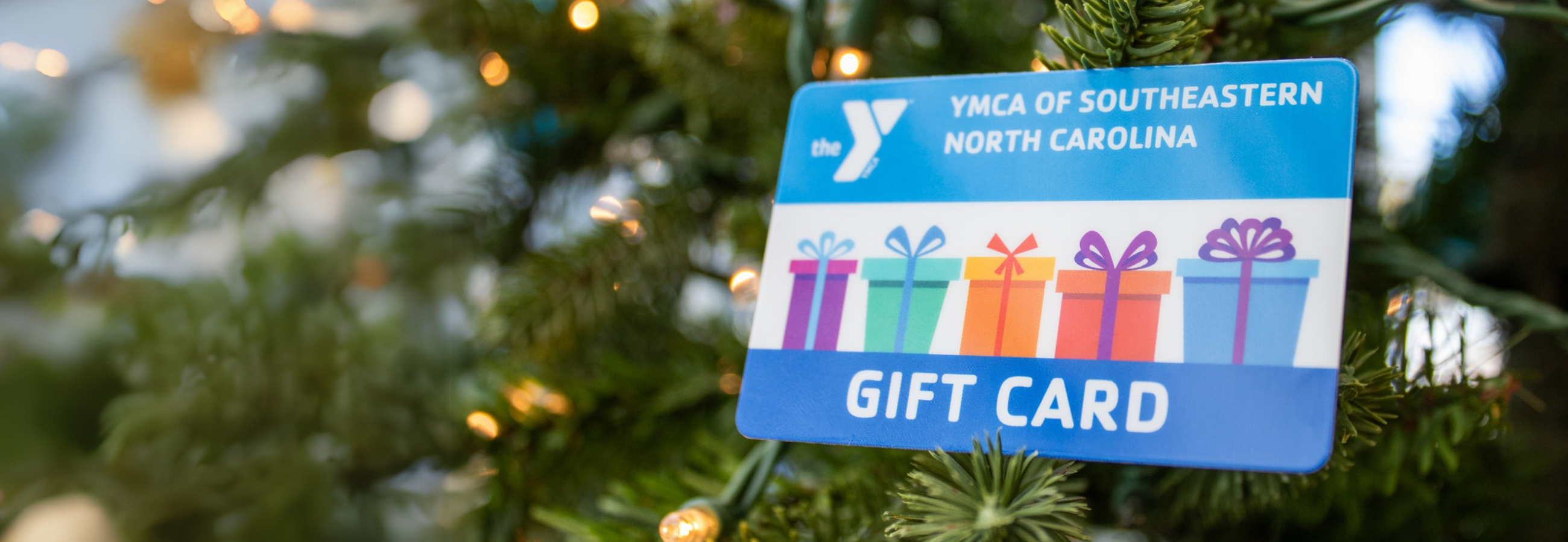 Holiday Gift Card