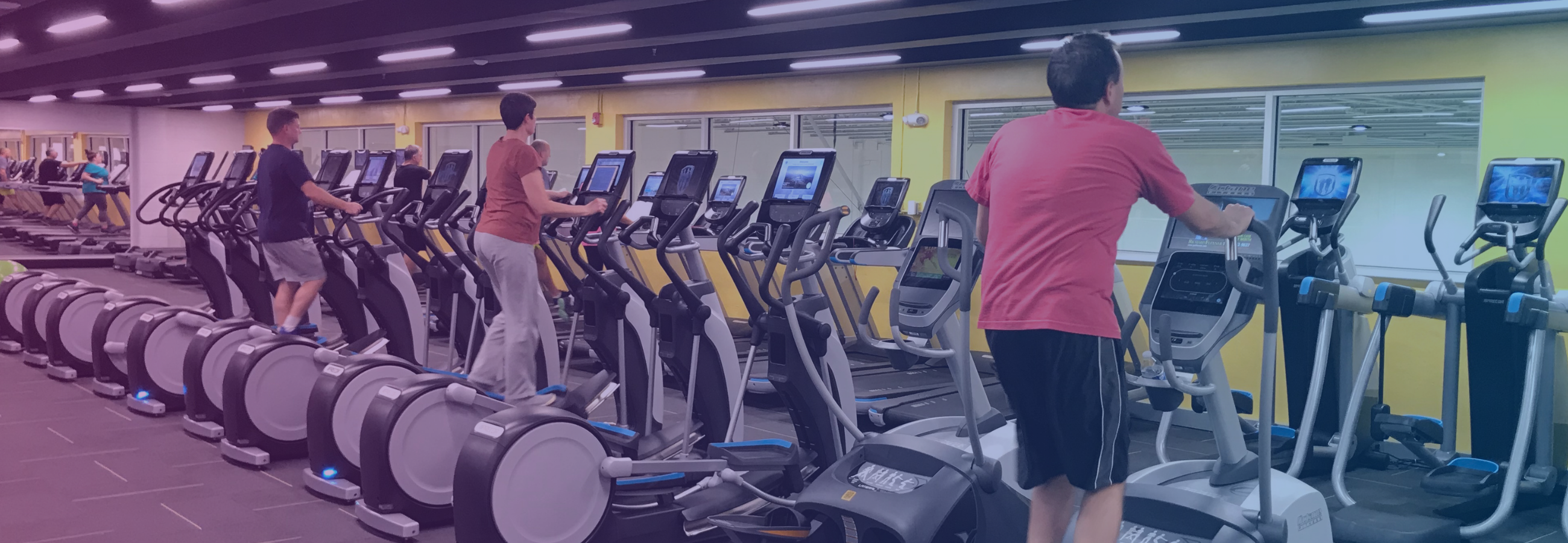 Wellness Challenges