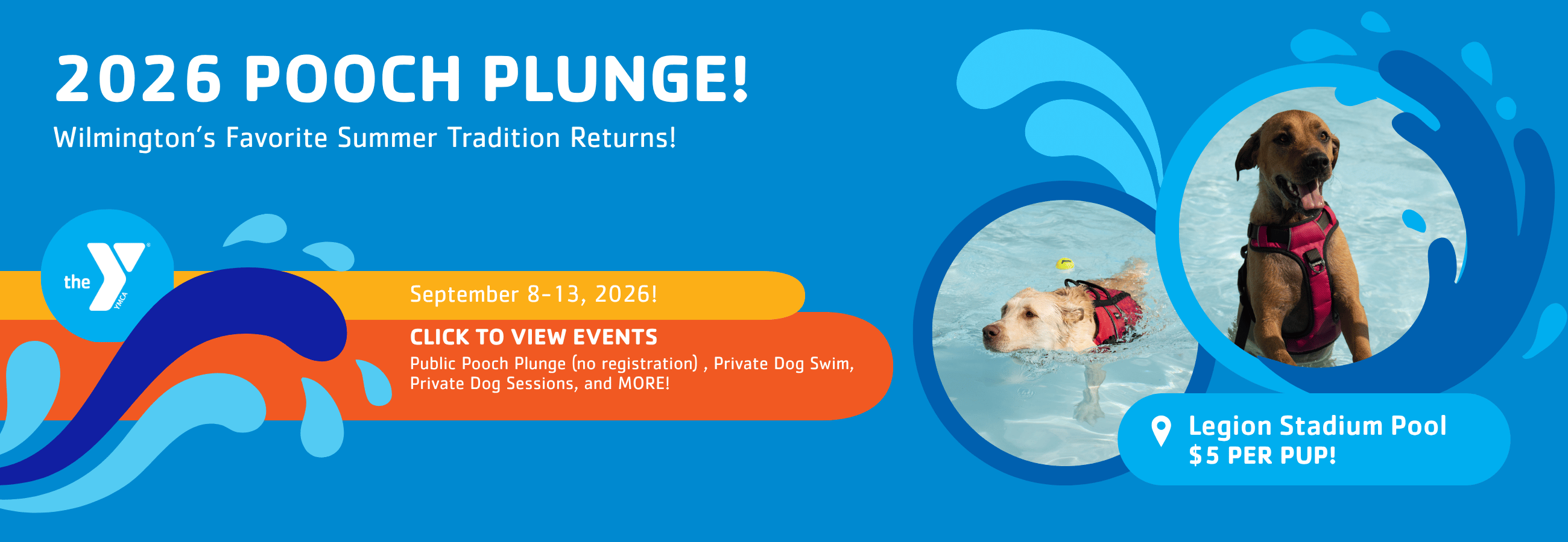 Pooch plunge